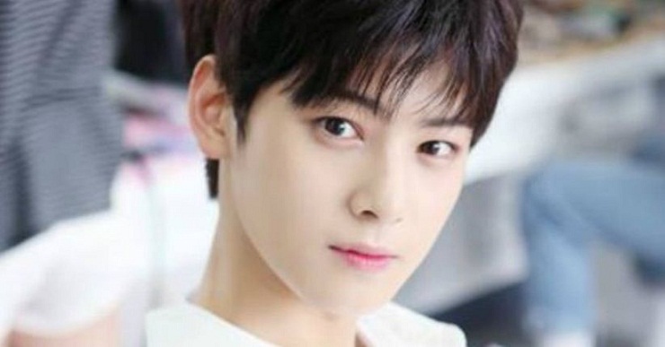 Cha Eun-woo, Wajah Baru Korea Selatan yang Sedang Bersinar Cha Eun-woo, Wajah Baru Korea Selatan yang Sedang Bersinar