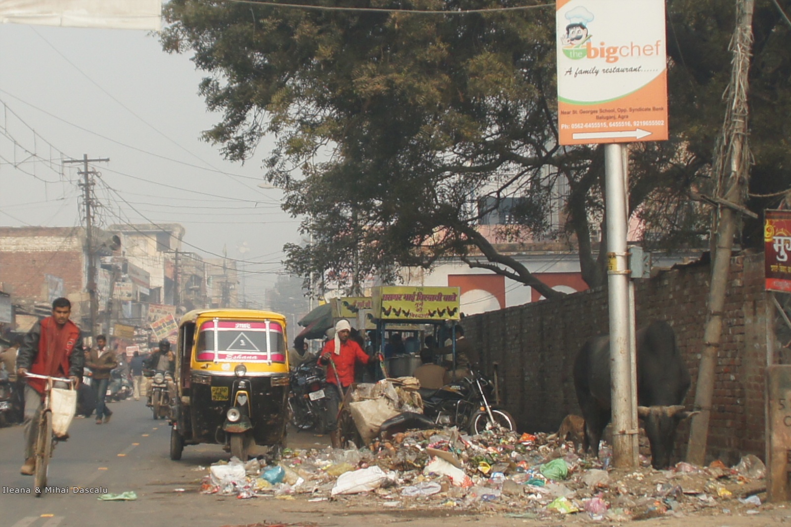 Noi6 AroundtheWorld Driving in India