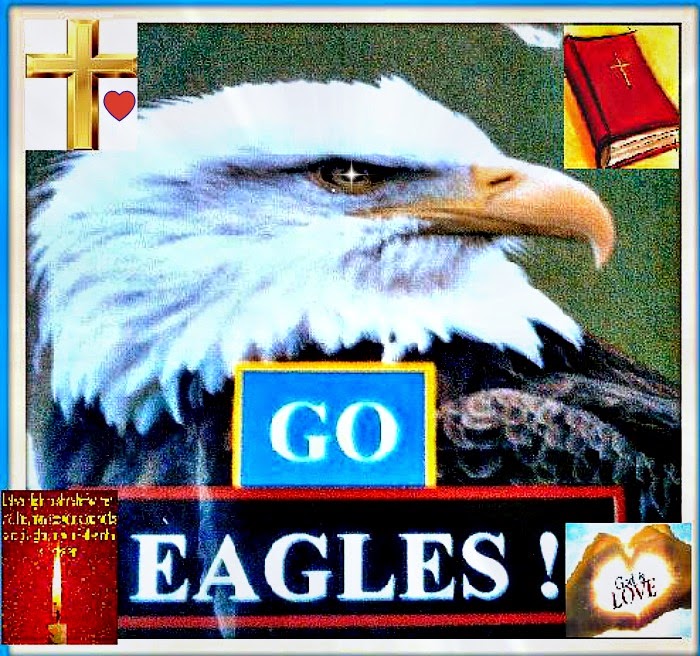 GO EAGLES ! DEDICATED TO GRAND RAPIDS CHRISTIAN HIGH, c9