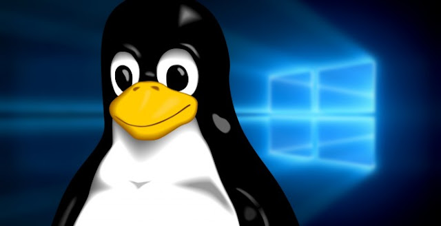 Linux Hosting, Window Hosting, Web Hosting Guides, Hosting
