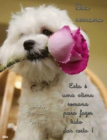 548_bc79ce5ca9b7829c270e380cfa399b1f3d9d