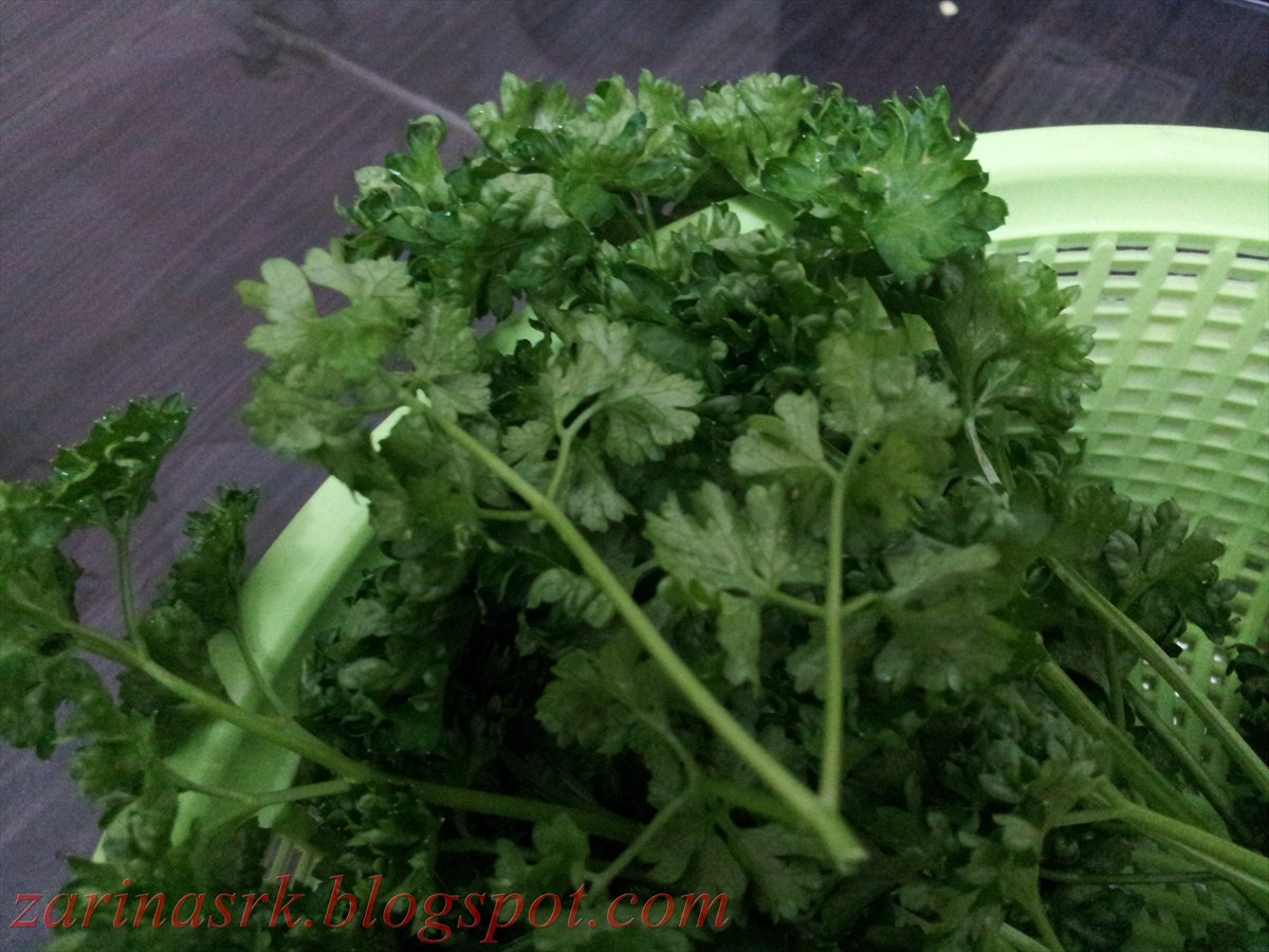 Daun Parsley In Malay Grow Your Own Gambar Hari