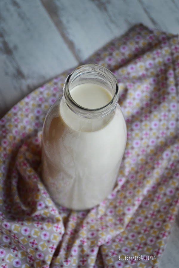 LECHE CASERA DE ANACARDOS Y SÉSAMO