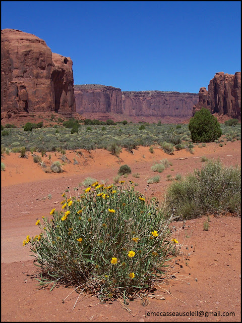 Un petit du Wadi Rum en Jordanie Un petit du Wadi Rum en Jordanie
