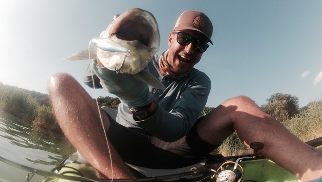 Jackson Kayak