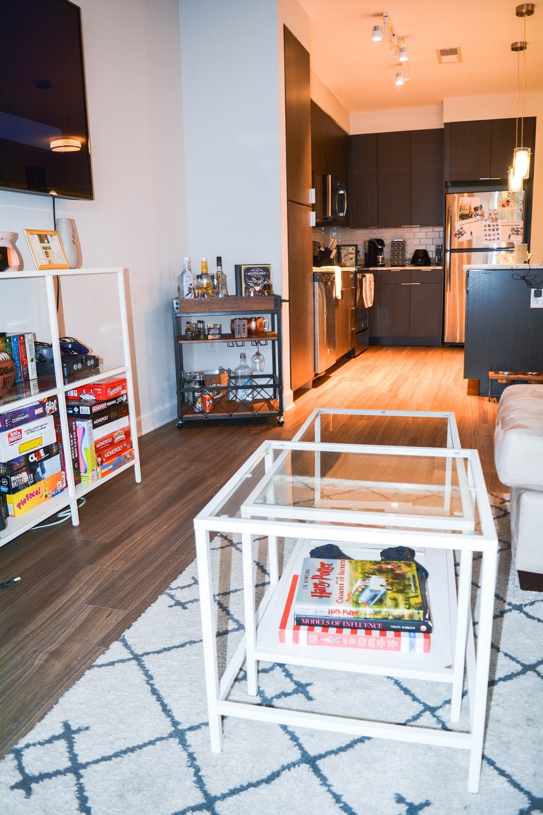 Falls Church Apartment Tour: Living Room & Kitchen