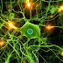 Estimulación cerebral profunda ayuda a mejorar la vida de pacientes con Parkinson
