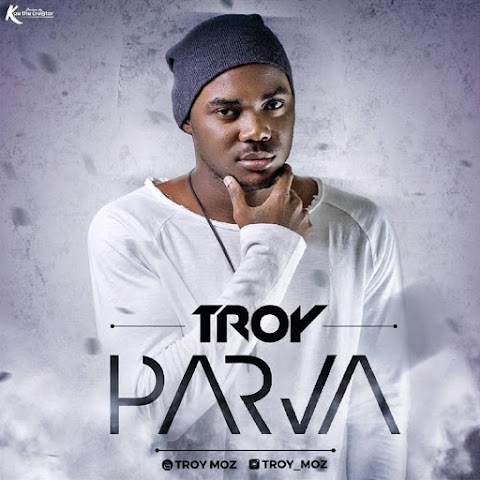 Troy - Parva