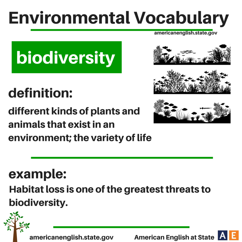 Ecology vocabulary. Environmental Vocabulary. Environment Vocabulary. Environment английский язык. Environment слова.