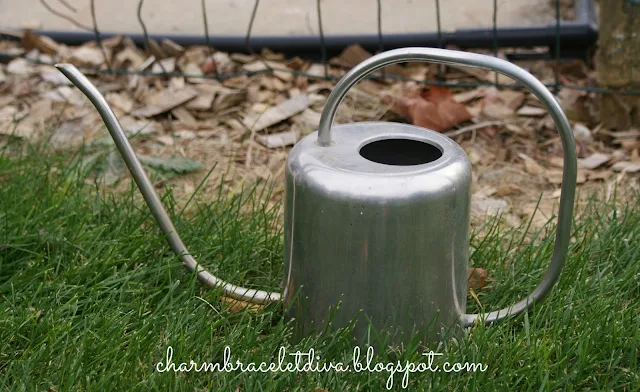 galvanized watering can
