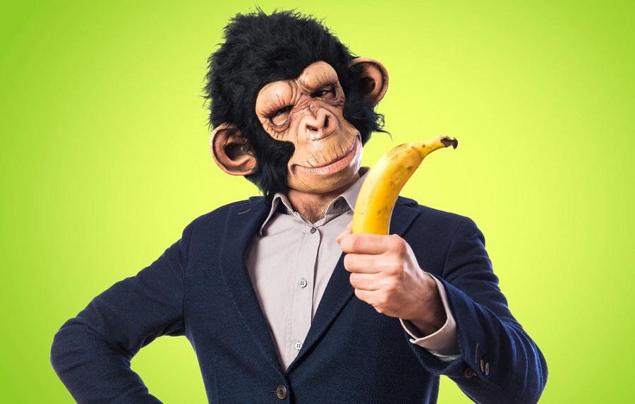 7 Unknown Facts about Bananas Arpin G's Timeline