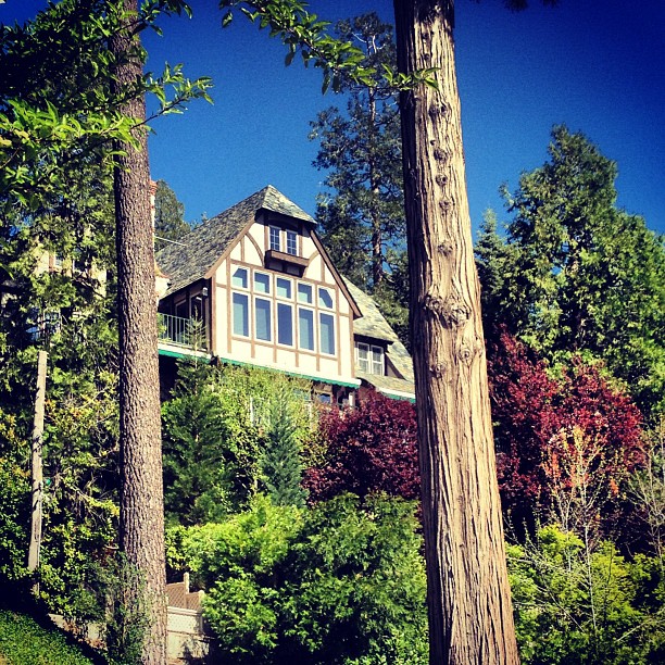 houses in the woods, lake arrowhead, through the trees