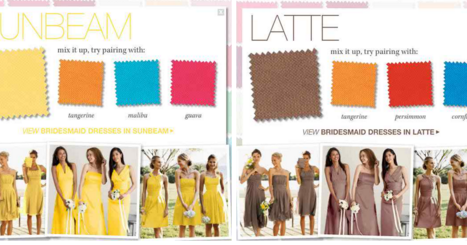 david's bridal color palette