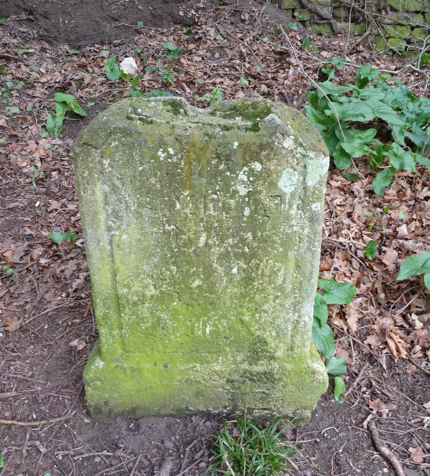 Devizes Days in Words and Pictures 2015 A Walk around Drew's Pond