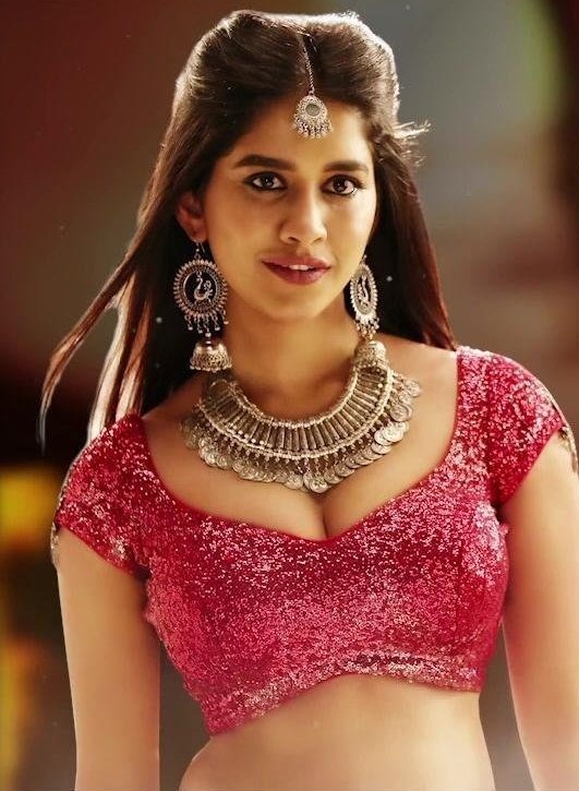 Nabha Natesh iSmart Shankar Stills - Latest Movie Updates, Movie  Promotions, Branding Online and Offline Digital Marketing Services