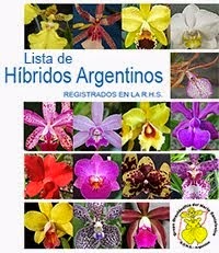 Híbridos Argentinos Registrados