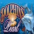 Dolphins Pearl dolphins pearl