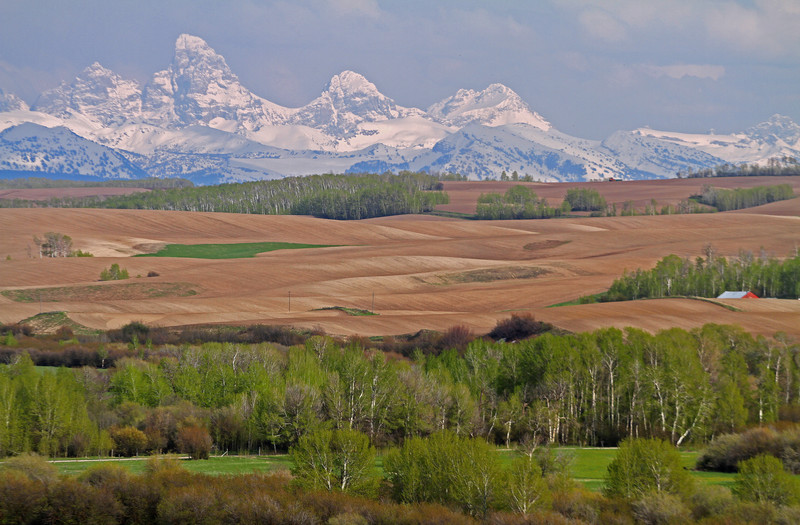 Round 1 Sawtooth Elk Zone vs. Teton Elk Zone IDAHOMAN