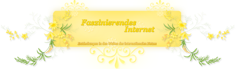 Internetfaszination