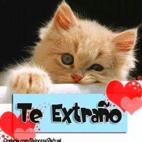 Frases Lindas Del Dia: Te Extraño