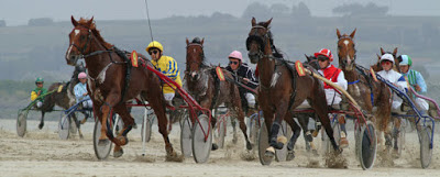 tocard gagnant tierce quarte quinte