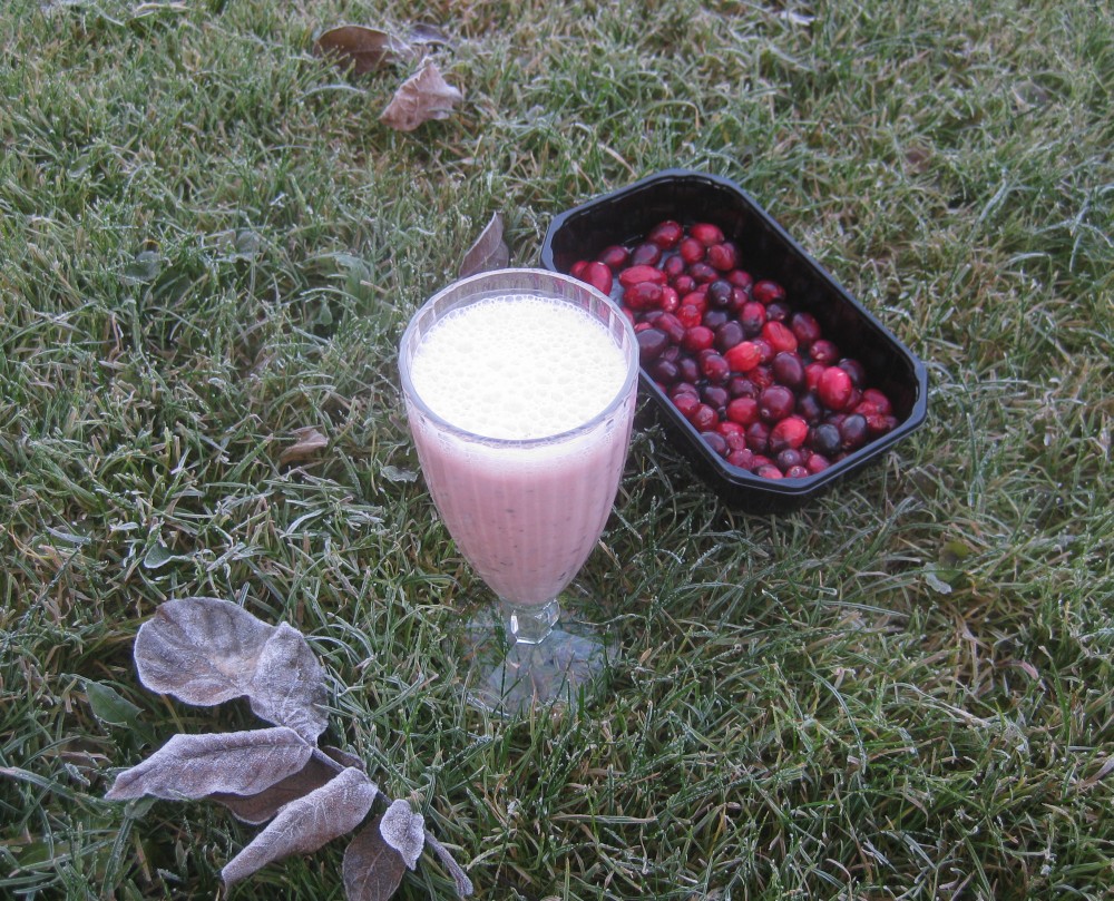 November 2011 - Barbaras Spielwiese