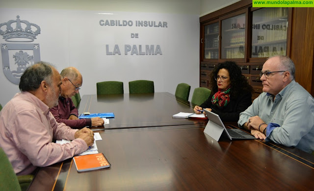 El Cabildo y la plataforma apuestan por un modelo energético para la isla sostenible y más respetuoso con el medio ambiente