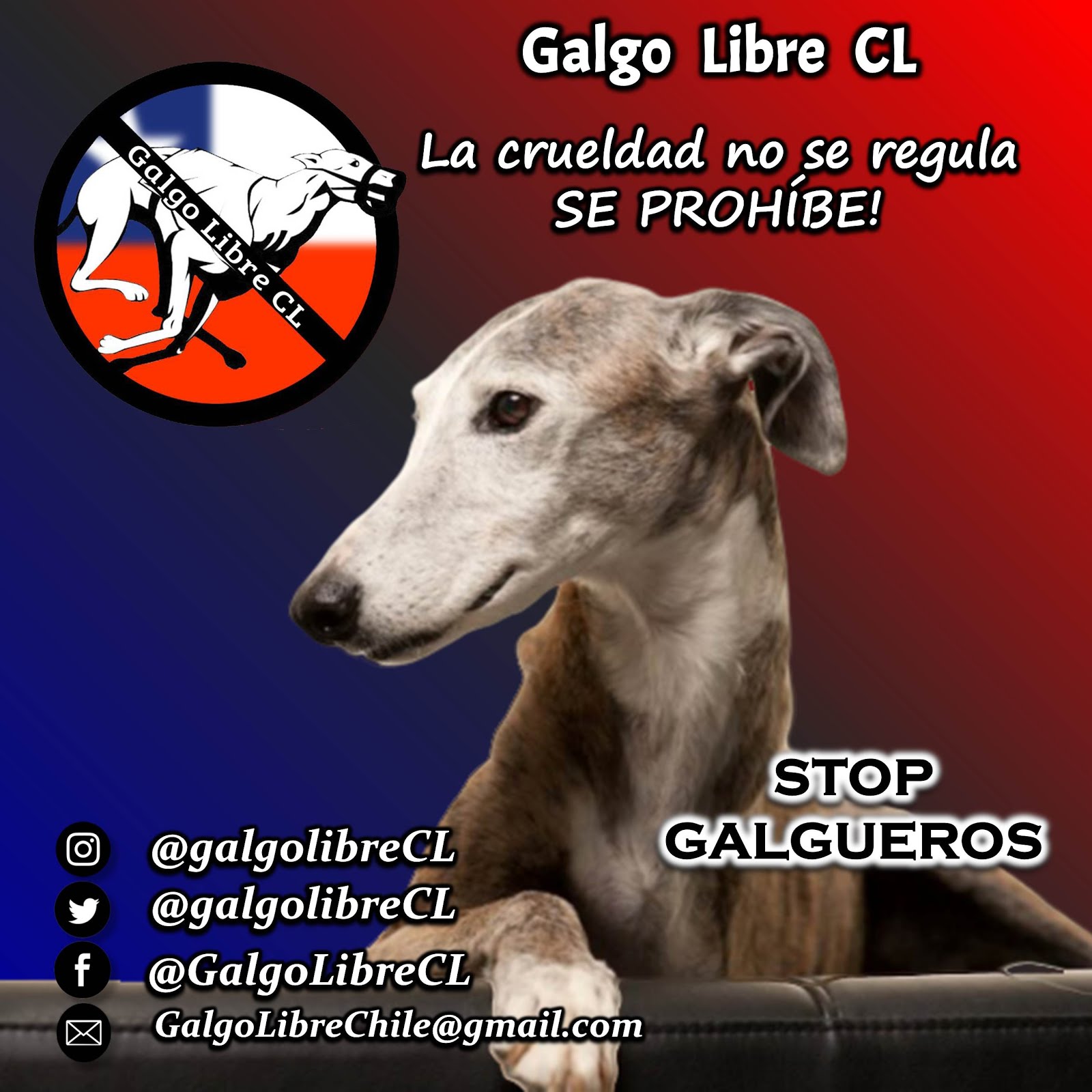 Galgo Libre CL (Chile)