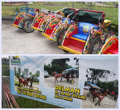 Perkebunan Teh Gunung Mas Puncak agrowisata