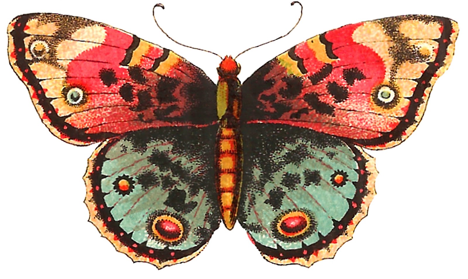 Antique Images Free Digital Butterfly Label Crafting Clip Art 
