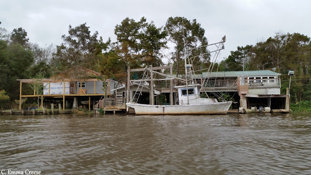 Swamp Tours In New Orleans Area Swamp Tours In New Orleans Area
