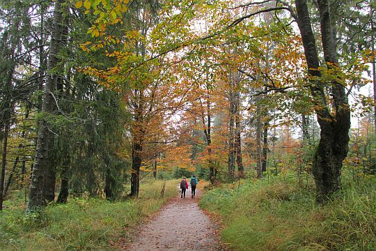 Między Runkiem i Czubakowską. Między Runkiem i Czubakowską.