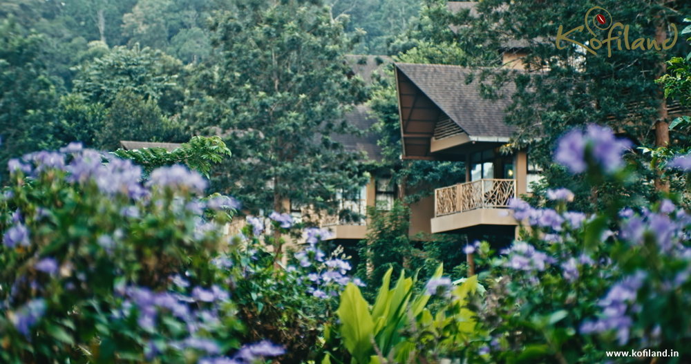 Kofiland Resort Tea, Coffee, Spice Plantations And Factory Visits in