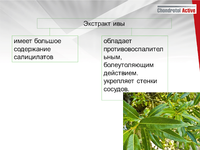 купить артлайф Артлайф Беларусь в Гомеле, Минске, Бресте, Могилеве, Витебске, Гродно