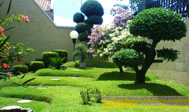 6 Langkah Pengenalan Pembuatan Taman Tukang Taman Surabaya