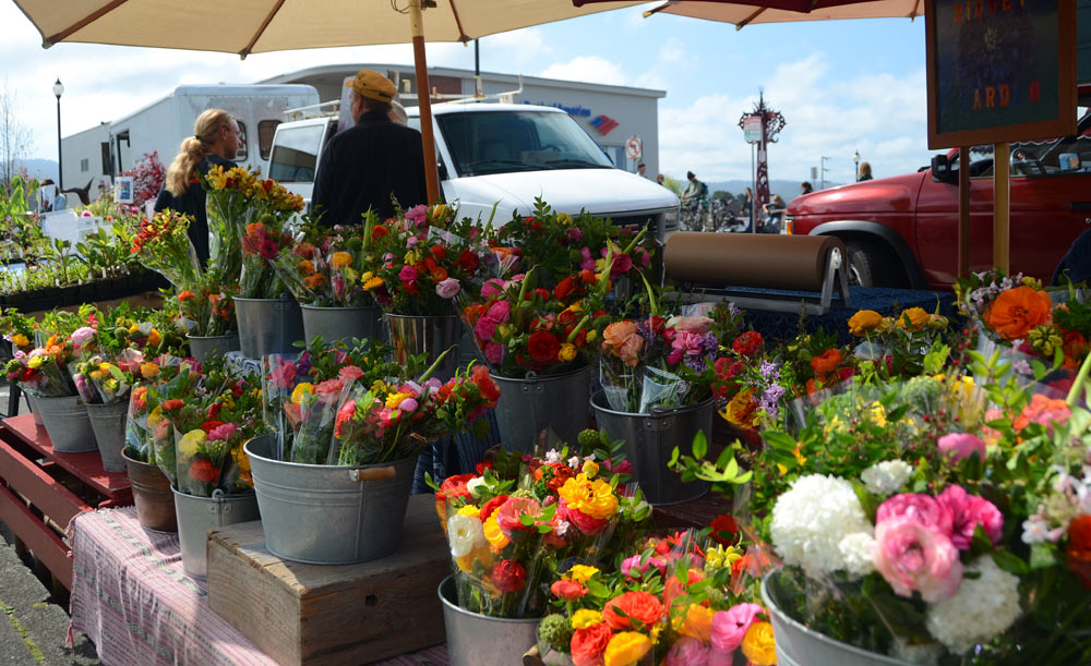 p e e z p i x Farmers Market Day