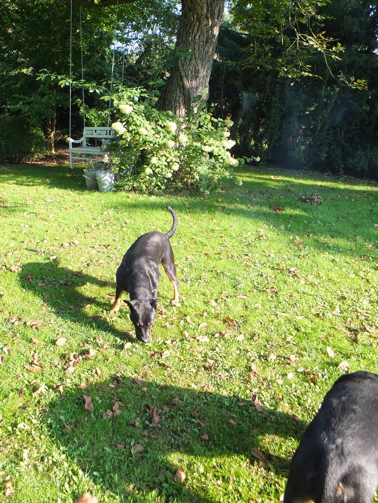 princessgreeneye PRINCESSGREENEYE in der LANDIDEE ein schöner