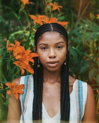 ✘ 29 Latest Cornrows Lemonade Braid Hairstyles Ponytails You will love within which she frequently rocked an aspect cornrow vogue ✘ 29 Latest Cornrows Lemonade Braid Hairstyles Ponytails You will love