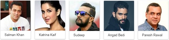 Star Cast of Tiger Zinda Hai Tiger Zinda Hai 2017 Star Cast