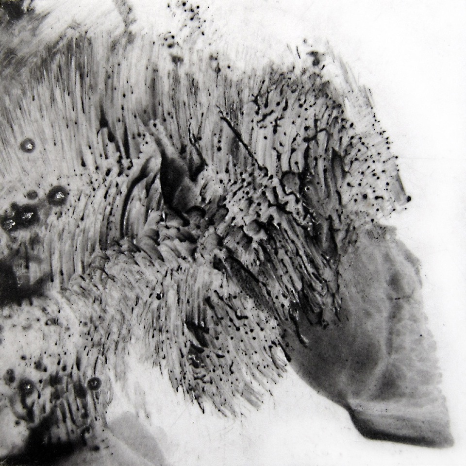 Auto Insurance Company Car Insurance Companies In