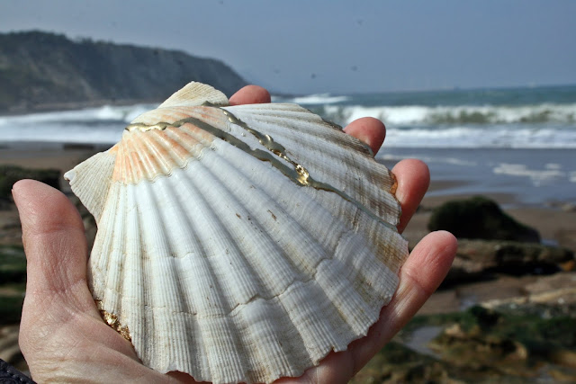 AT THE BOTTOM OF THE SEA...