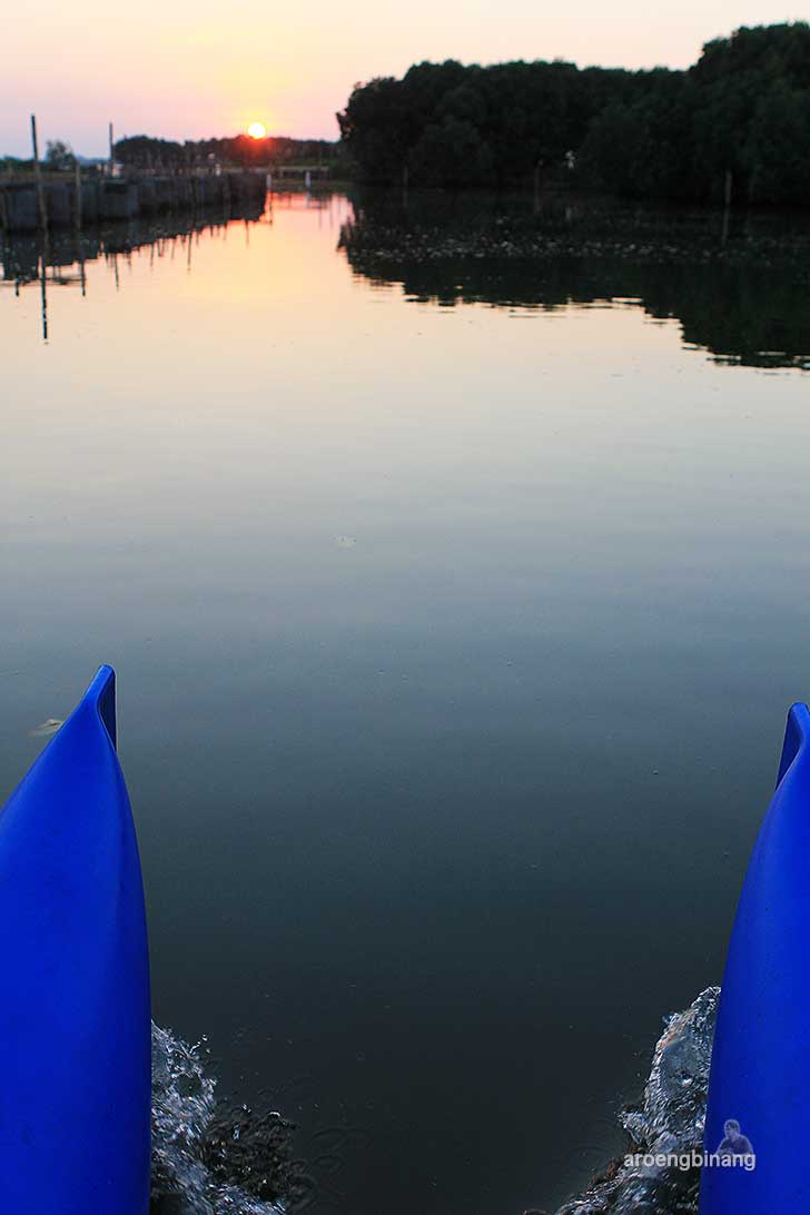 pekalongan mangrove park