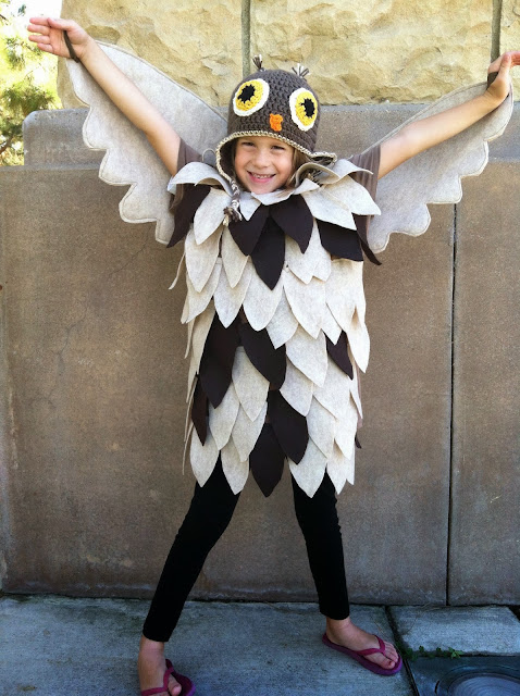 Chadwicks' Picture Place: Homemade Owl Costume