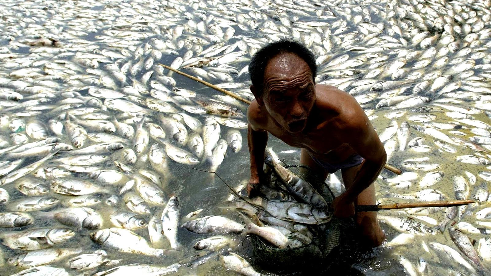 Fossil Fuels Effects Effect Choices