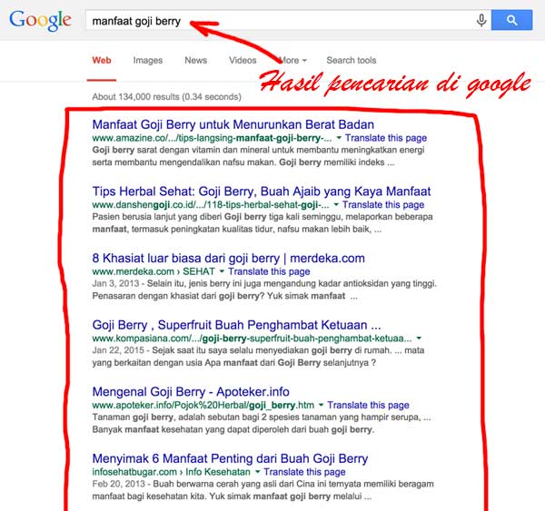 Manfaat buah goji berry Manfaat buah goji berry