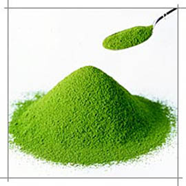 Alga chlorella Alga chlorella