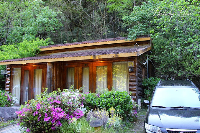 【武陵農場住宿推薦】楓林木屋。全武陵最浪漫的住宿環境介紹 【武陵農場住宿推薦】楓林木屋。全武陵最浪漫的住宿環境介紹