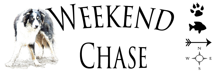 Weekend Chase 