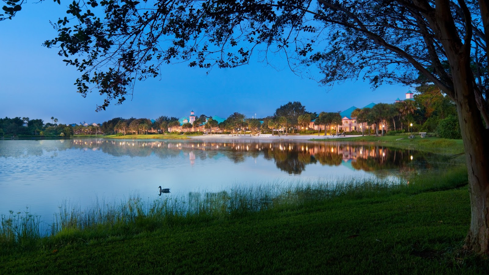 RMH Travel Disney s Caribbean Beach Resort A Look Inside