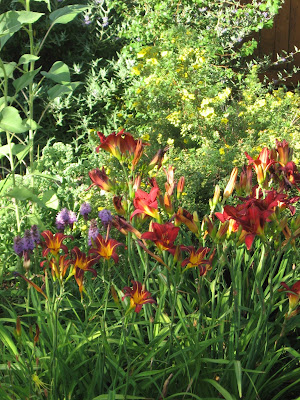 mylife4Him: A Most Beautiful Flower Garden